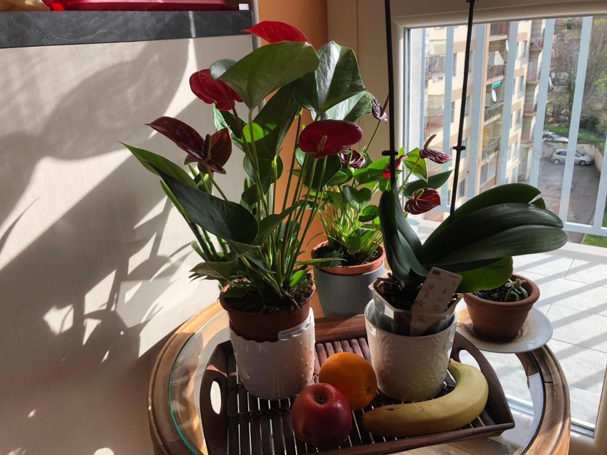 Attico Chez Renee Aosta Apartment Ngoại thất bức ảnh